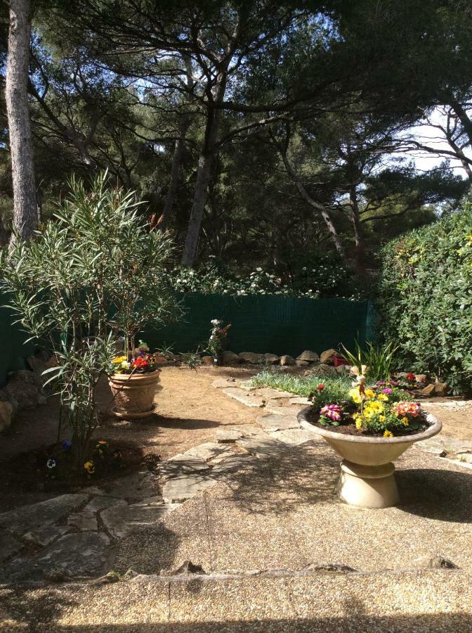 T2 Rez De Jardin 300M Plage De Beaucours Sanary Sur Mer Екстер'єр фото