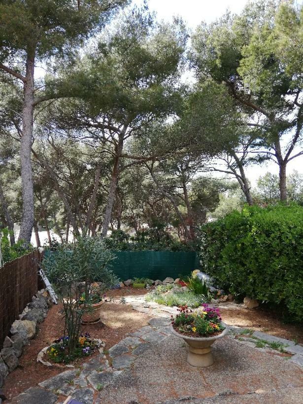 T2 Rez De Jardin 300M Plage De Beaucours Sanary Sur Mer Екстер'єр фото
